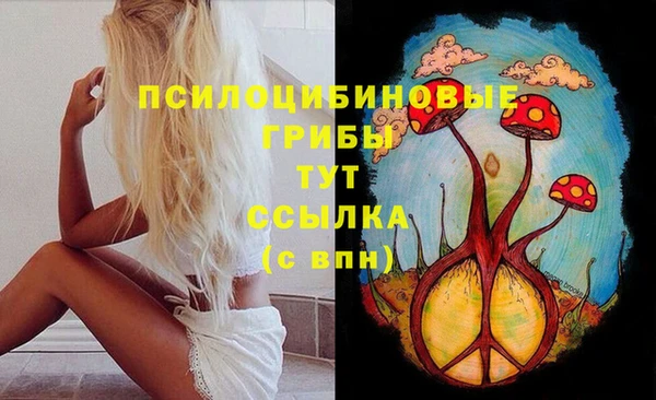 2c-b Заводоуковск