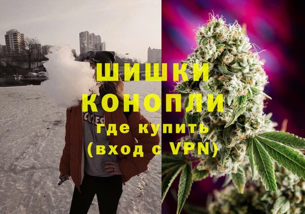 2c-b Заводоуковск